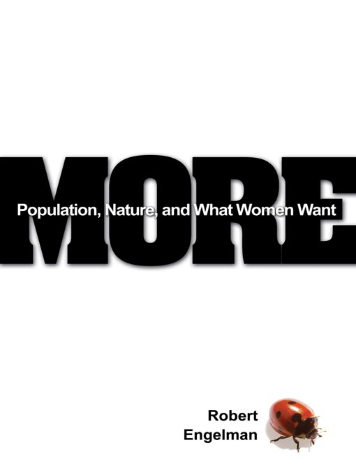 Cover image for More